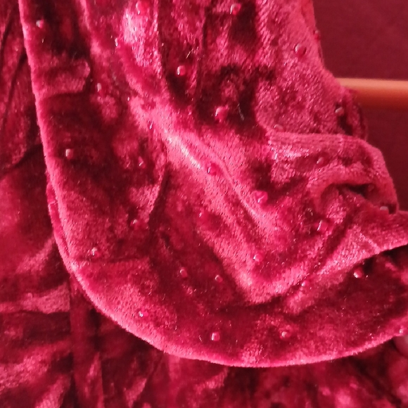 Antilia Femme Rich Red Velvet Top - Picture 2 of 9